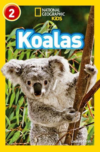 Cover image for Koalas: Level 2