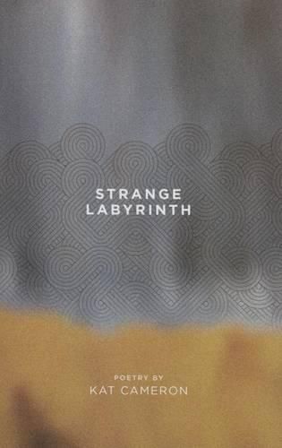 Cover image for Strange Labyrinth