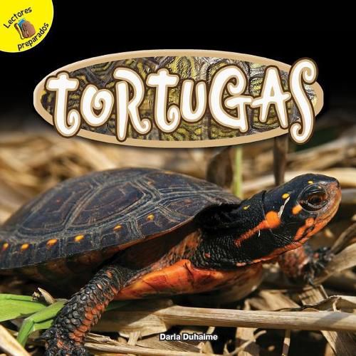 Cover image for Tortugas: Turtles