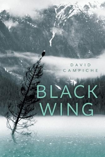 Cover image for Black Wing