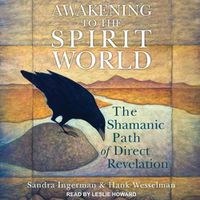 Cover image for Awakening to the Spirit World