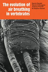 Cover image for The Evolution of Air Breathing in Vertebrates