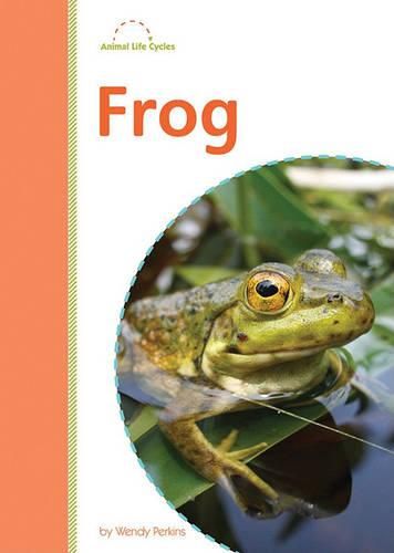 Cover image for Frog