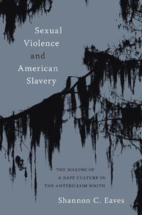 Cover image for Sexual Violence and American Slavery