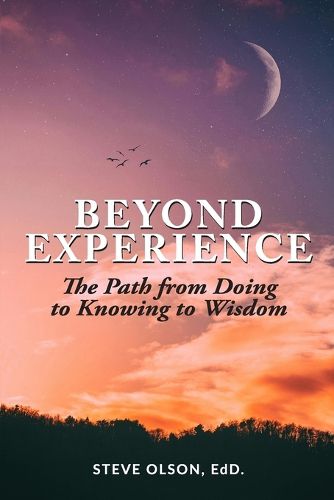 Cover image for Beyond Experience