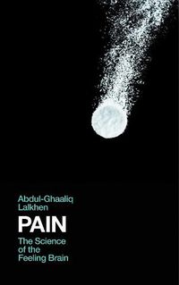 Cover image for Pain: The Science of the Feeling Brain
