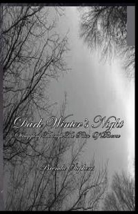 Cover image for Dark Winter's Night: Struggling Through The Pain Of Divorce