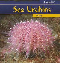 Cover image for Sea Urchins