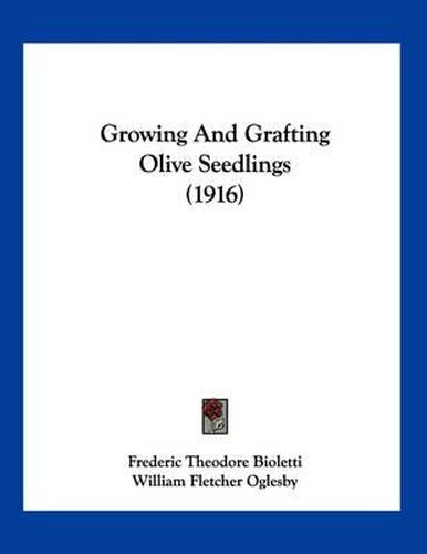 Cover image for Growing and Grafting Olive Seedlings (1916)