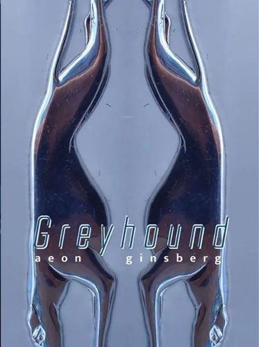 Cover image for Greyhound