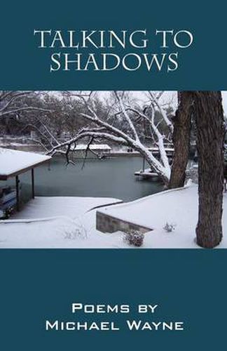 Cover image for Talking to Shadows