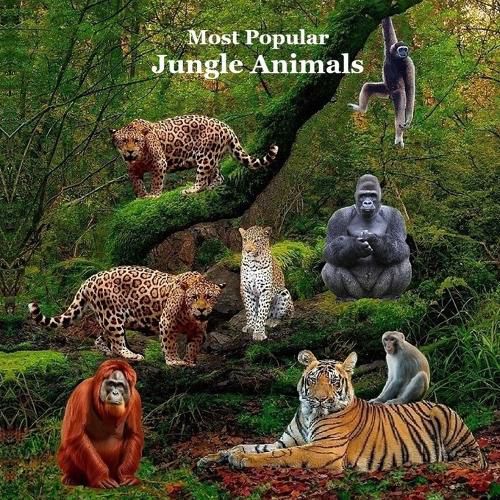 Most Popular Jungle Animals Kids Book