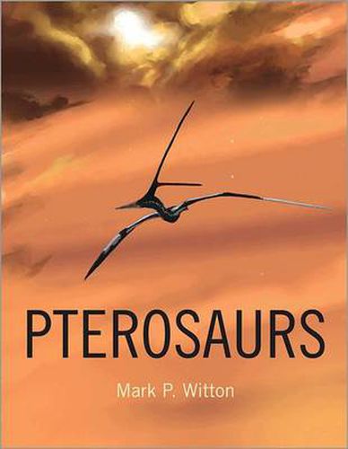 Cover image for Pterosaurs: Natural History, Evolution, Anatomy