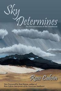 Cover image for Sky Determines