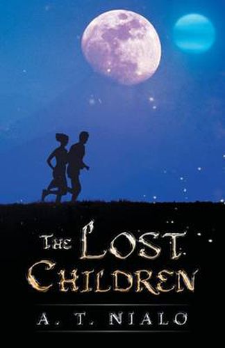 Cover image for The Lost Children
