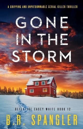 Cover image for Gone in the Storm