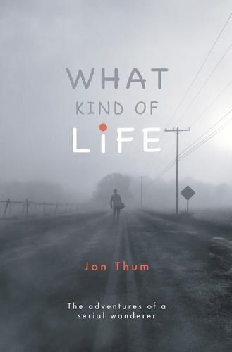 Cover image for What Kind of Life: The Adventures of a Serial Wanderer