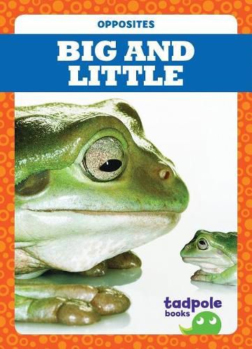 Cover image for Big and Little