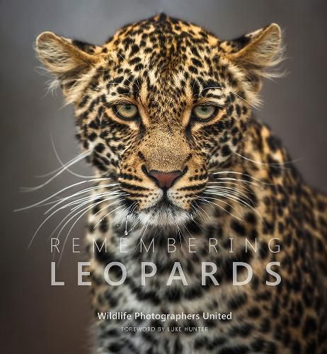 Cover image for Remembering Leopards