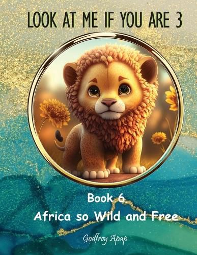 Cover image for Look at me if you are 3