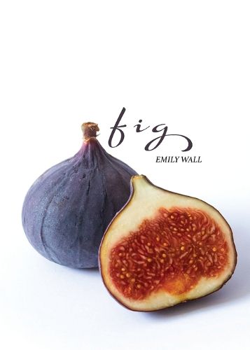 Cover image for Fig