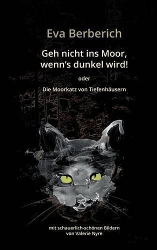 Cover image for Geh nicht ins Moor, wenn's dunkel wird!