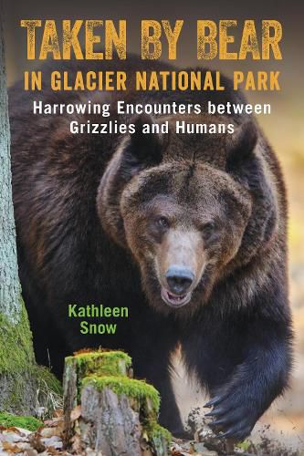 Cover image for Taken By Bear in Glacier National Park: Harrowing Encounters between Grizzlies and Humans