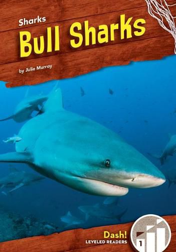 Cover image for Bull Sharks