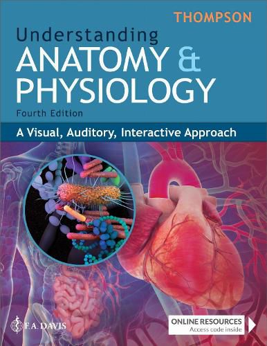Cover image for Understanding Anatomy & Physiology