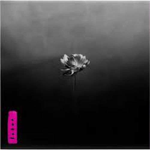Cover image for Lotus (Indie Electric Pink Vinyl)