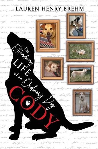 Cover image for Cody