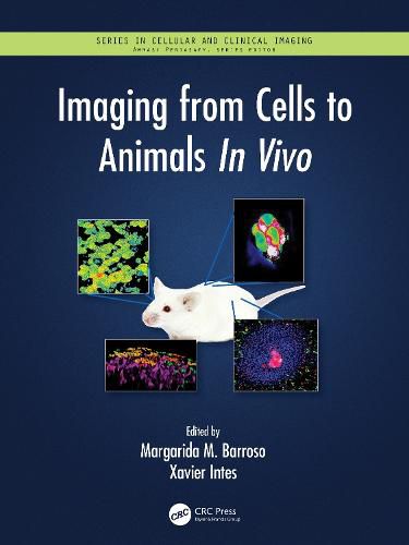 Cover image for Imaging from Cells to Animals In Vivo