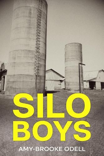 Cover image for Silo Boys