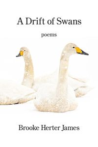 Cover image for A Drift of Swans