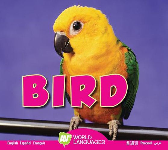 Cover image for Bird