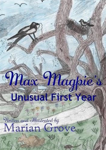 Cover image for Max Magpie's Unusual First Year