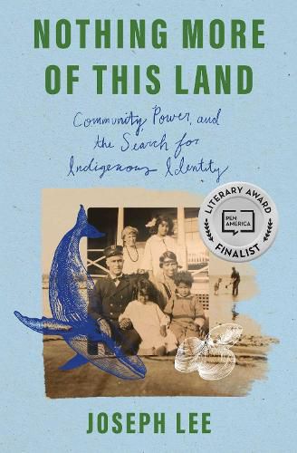 Cover image for Nothing More of This Land