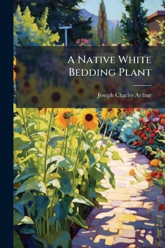 Cover image for A Native White Bedding Plant