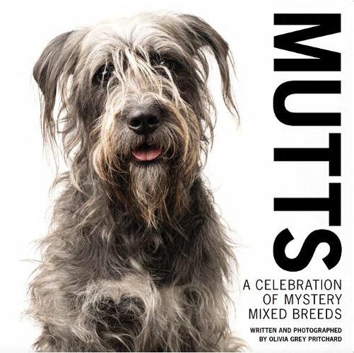 Cover image for Mutts: A Celebration of Mystery Mixed Breeds