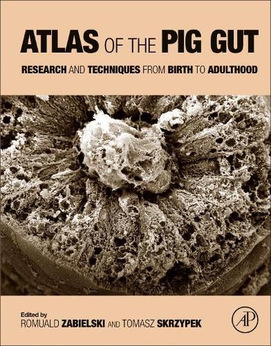Cover image for Atlas of the Pig Gut