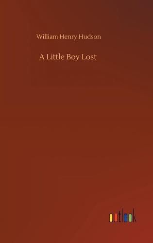 Cover image for A Little Boy Lost