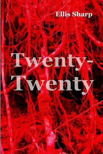 Cover image for Twenty-Twenty