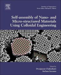 Cover image for Computational Modelling of Nanoparticles