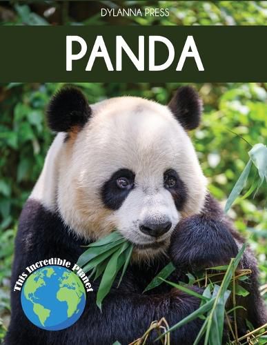 Cover image for Panda