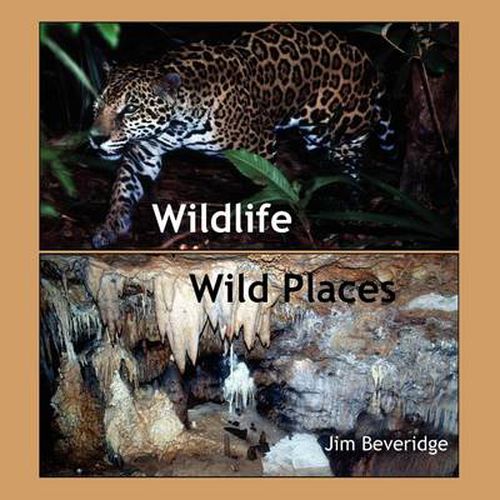 Cover image for Wildlife-Wild Places