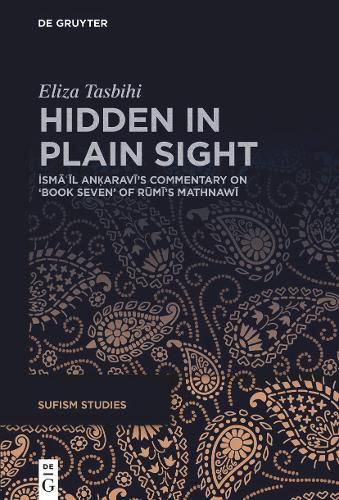 Cover image for Hidden in Plain Sight