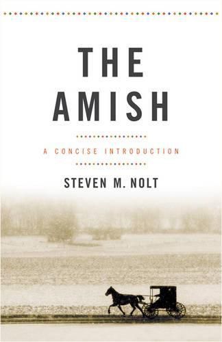 Cover image for The Amish: A Concise Introduction