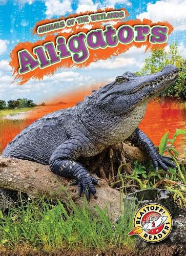 Cover image for Alligators