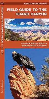 Cover image for Field Guide to the Grand Canyon: A Folding Pocket Guide to Familiar Plants and Animals