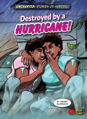 Cover image for Destroyed by a Hurricane!